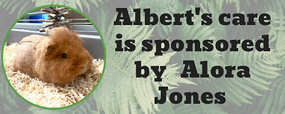 Albert sponsored sign.png