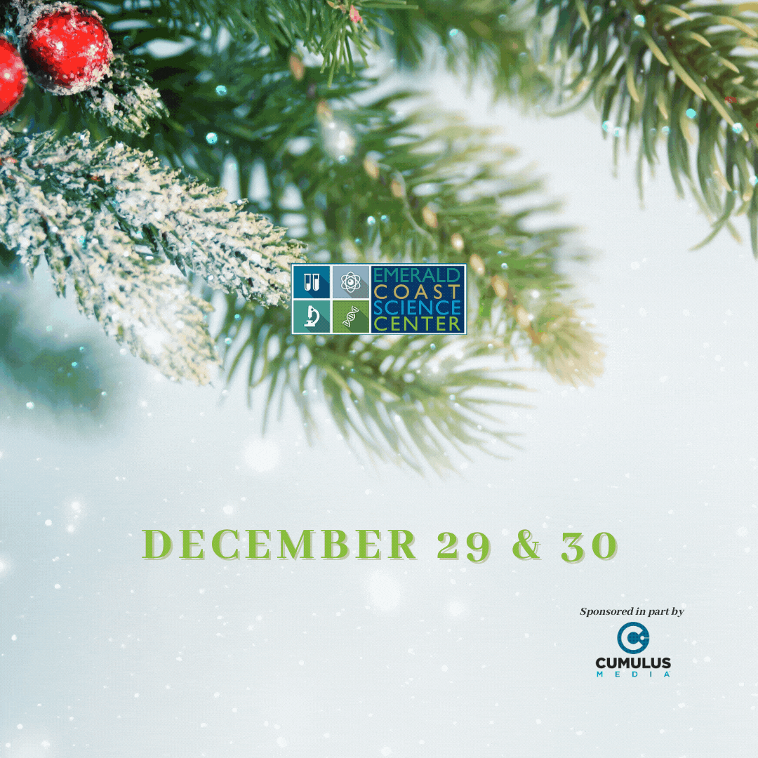 Snow Much Fun: Special Activities December 29 & 30