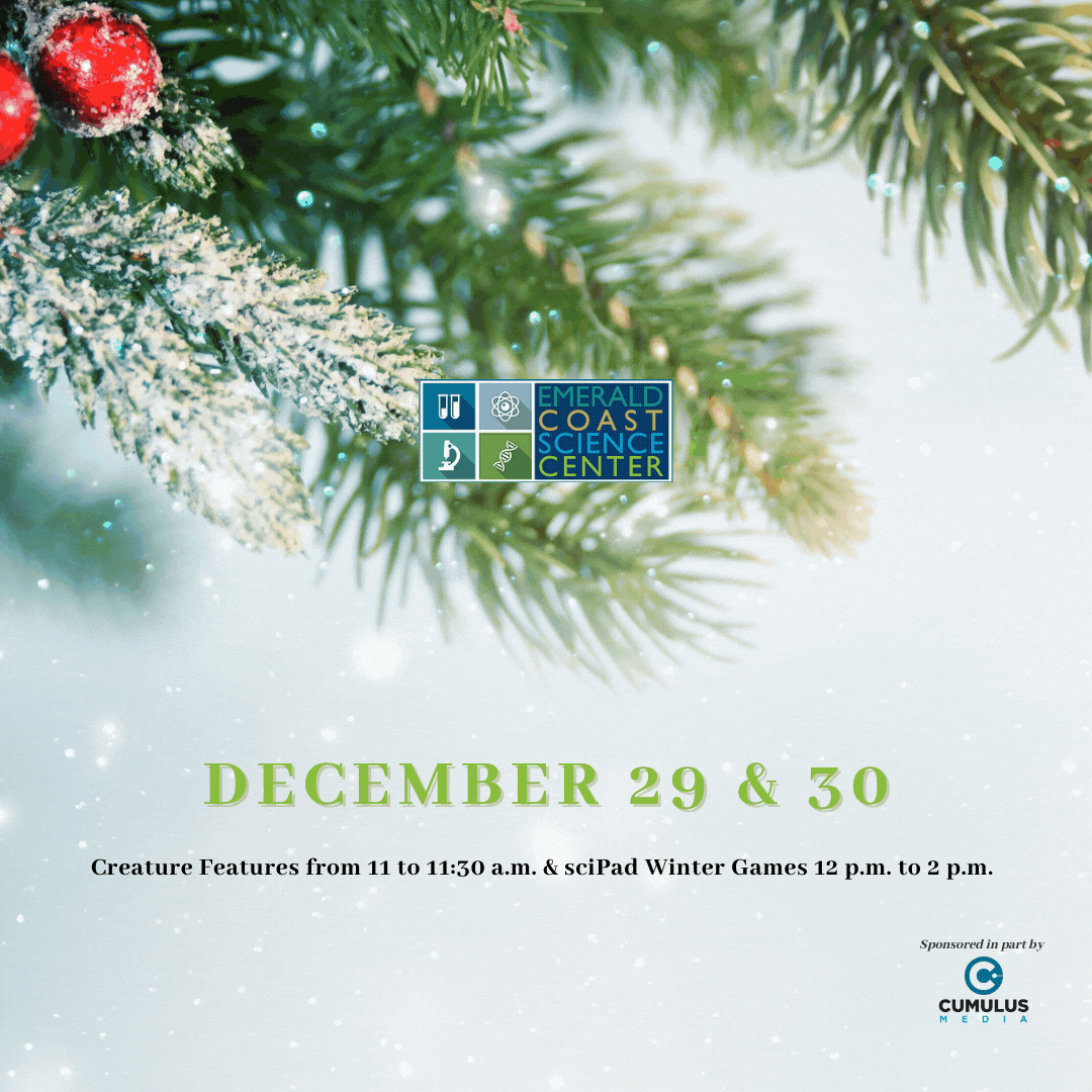 Snow Much Fun: Special Activities December 29 & 30
