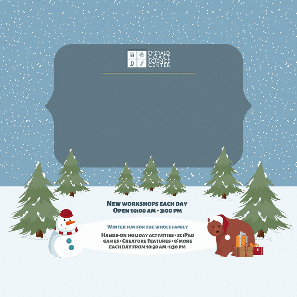 Winter Workshops: Chemistry Corner