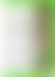 18/04/2026 : Apiculture - Biologie de l'abeille et son organisation