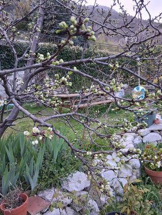 Mars 2026 : l'école La Ferrage au Jardin