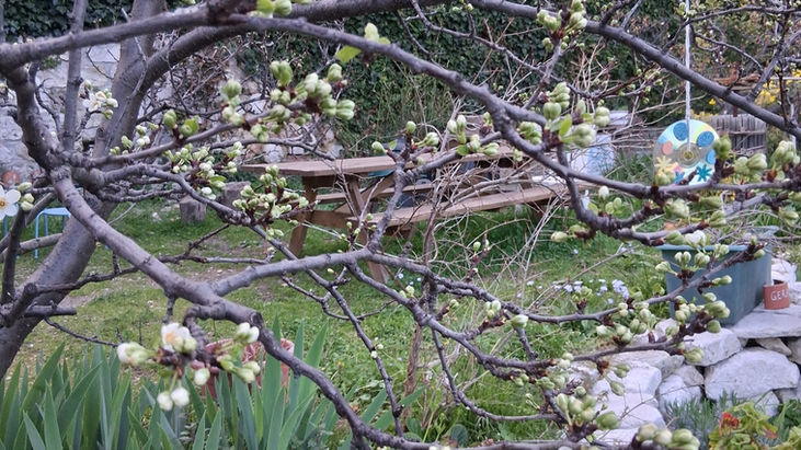 Mars 2026 : l'école La Ferrage au Jardin