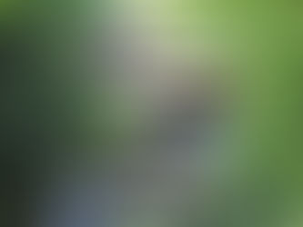 Frank Lloyd Wright's Fallingwater