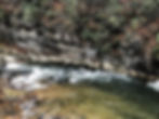 Rippling Rapids of Laurel Creek