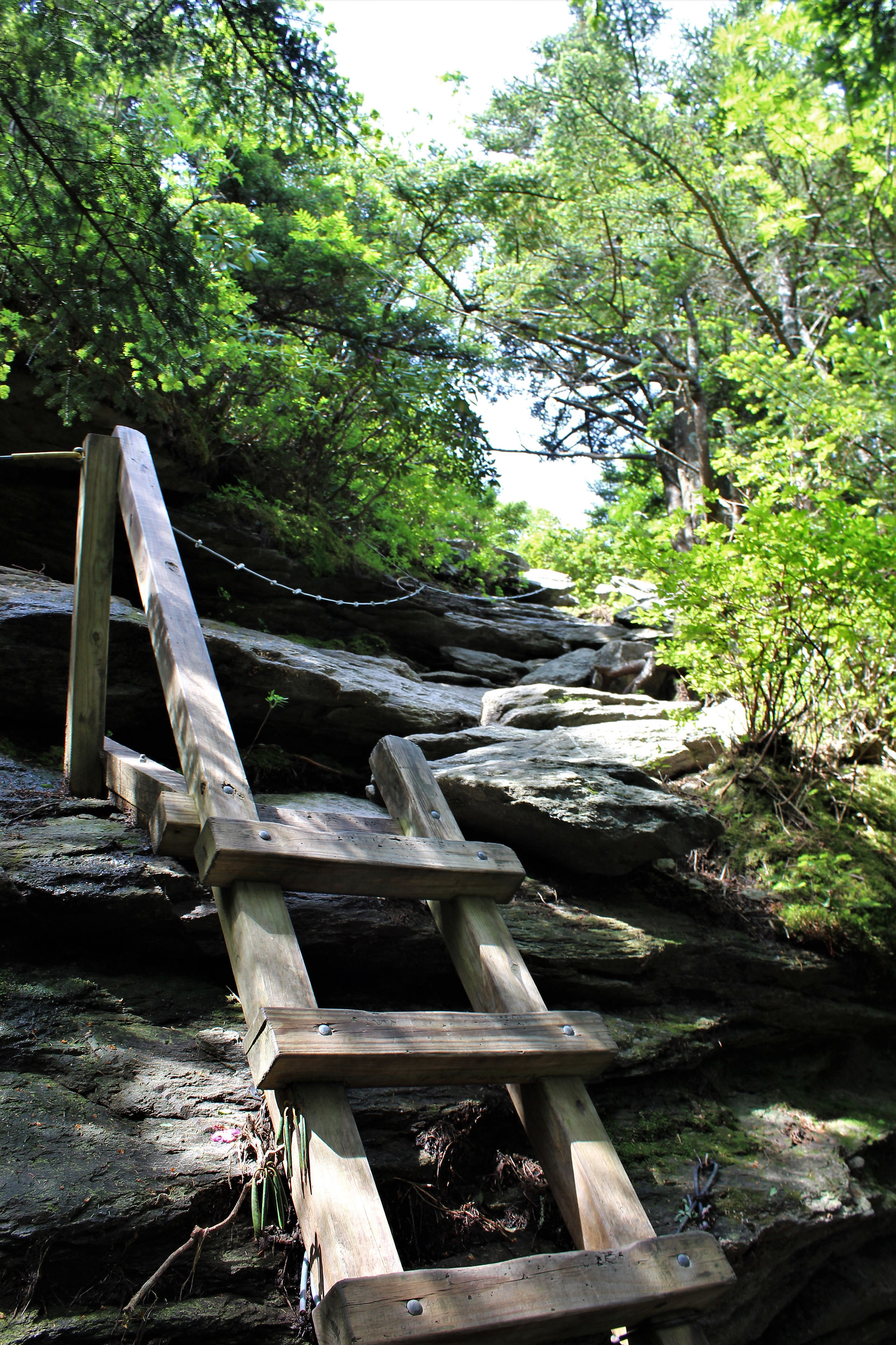 Another Rigorous Stretch of Trail