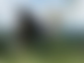 Sky Meadows State Park