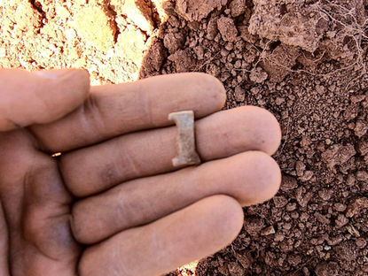 Diggin' In Virginia: The Brandy Rock Farm Farewell Hunt