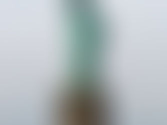 The Statue of Liberty