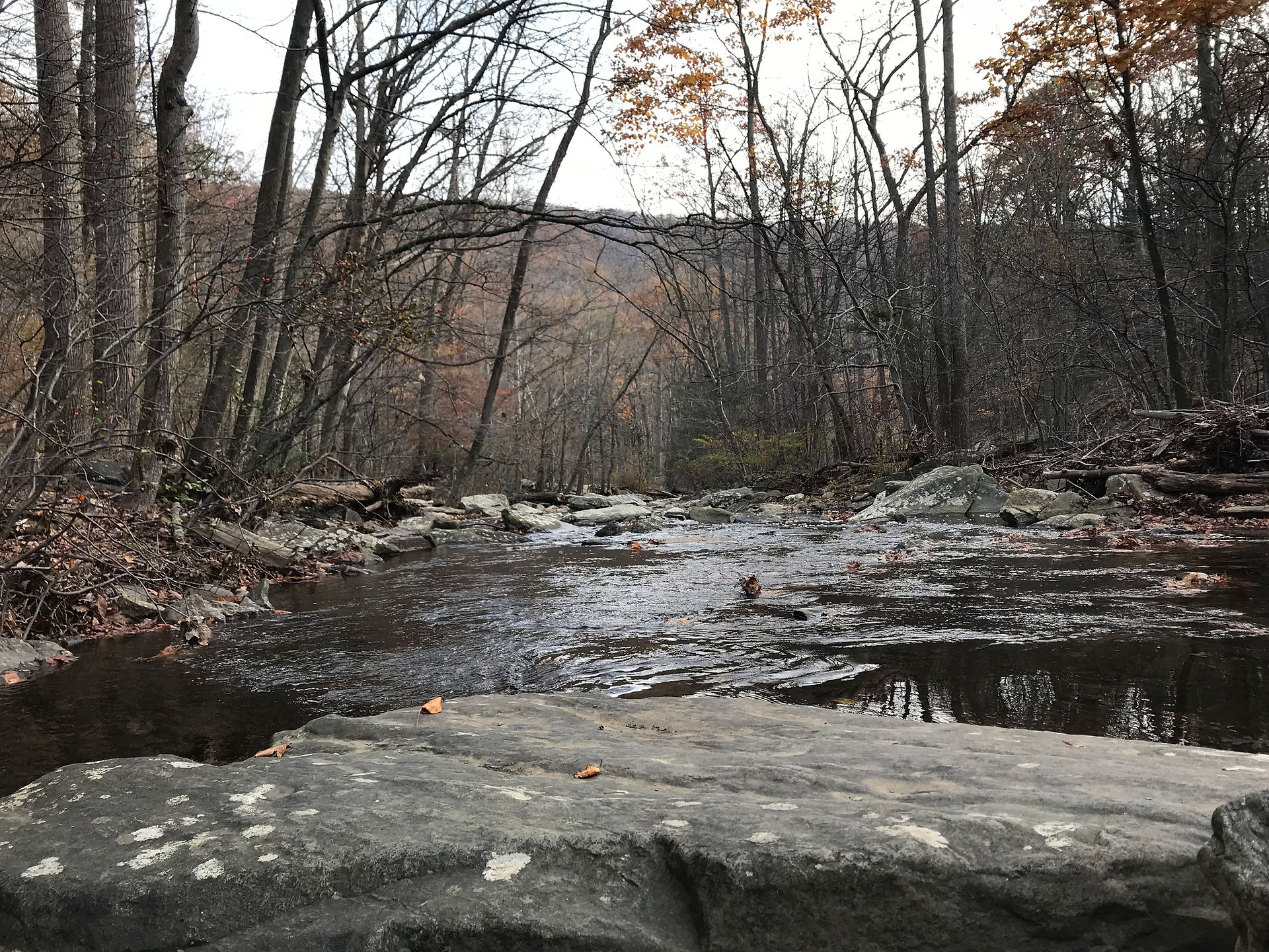Hunting Creek