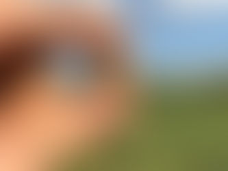 Diggin' In Virginia XXXVIII