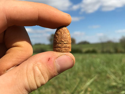 Diggin' In Virginia XXXVIII