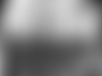 Camping Along the Rapidan: Psychosocial Aspects of the Civil War