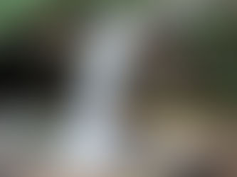 The Great Allegheny Passage: Day 2