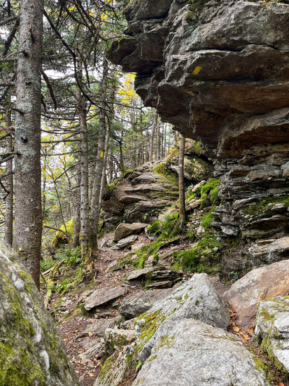 Alpine Trail
