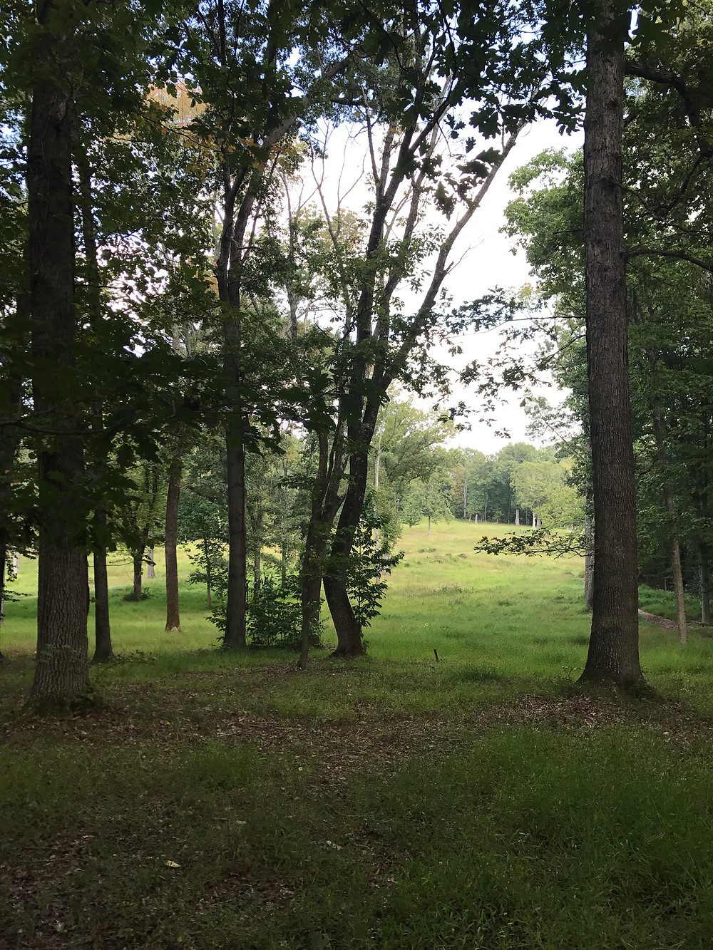 How the Battlefield Looks Today