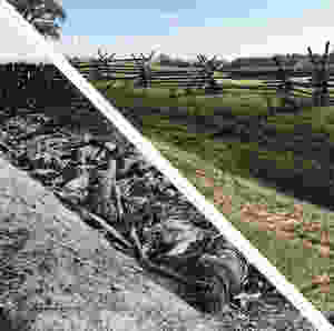 The Sunken Road