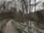 Trestle Bridge Contouring the Holston River