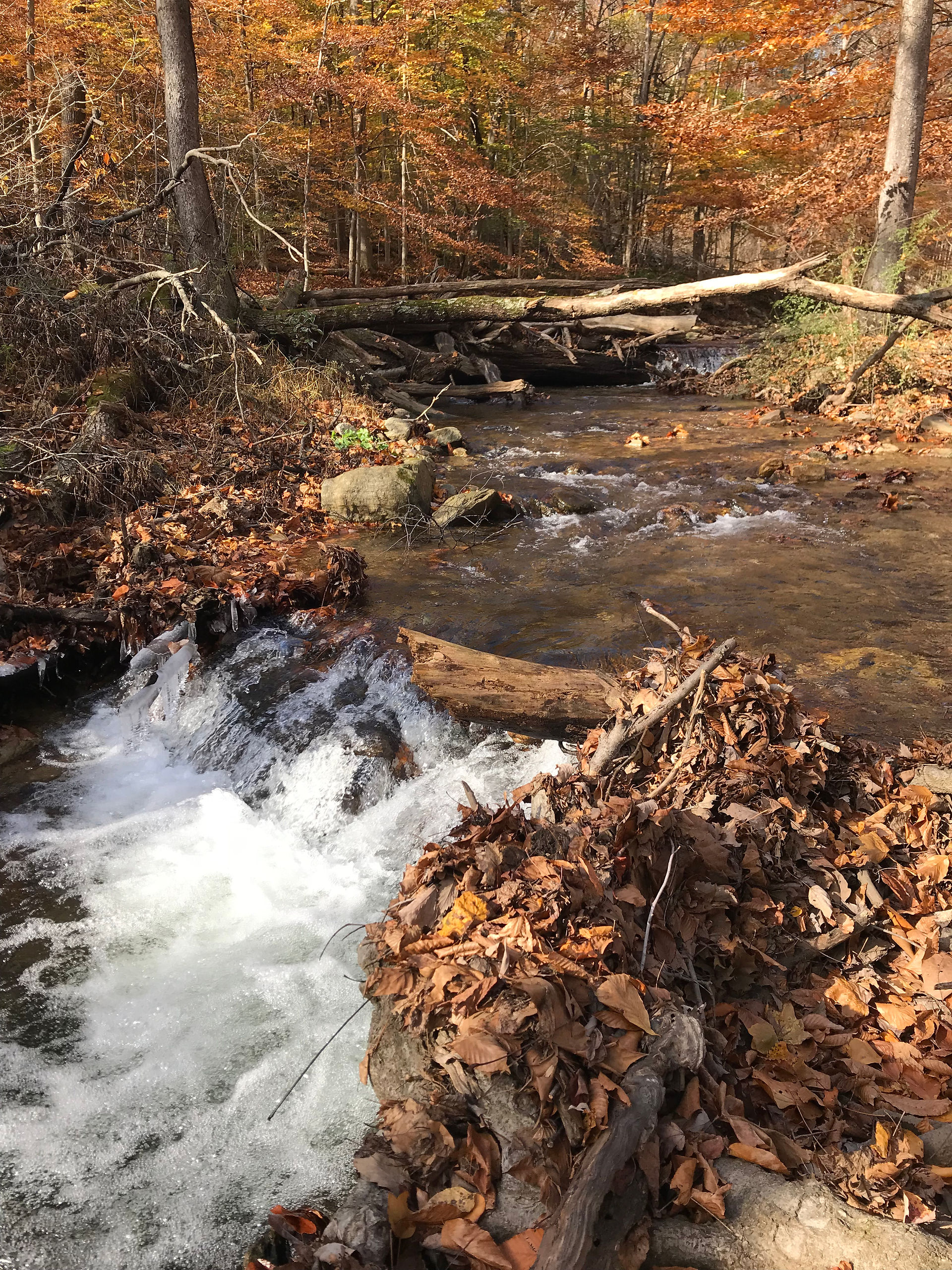 Little Hunting Creek