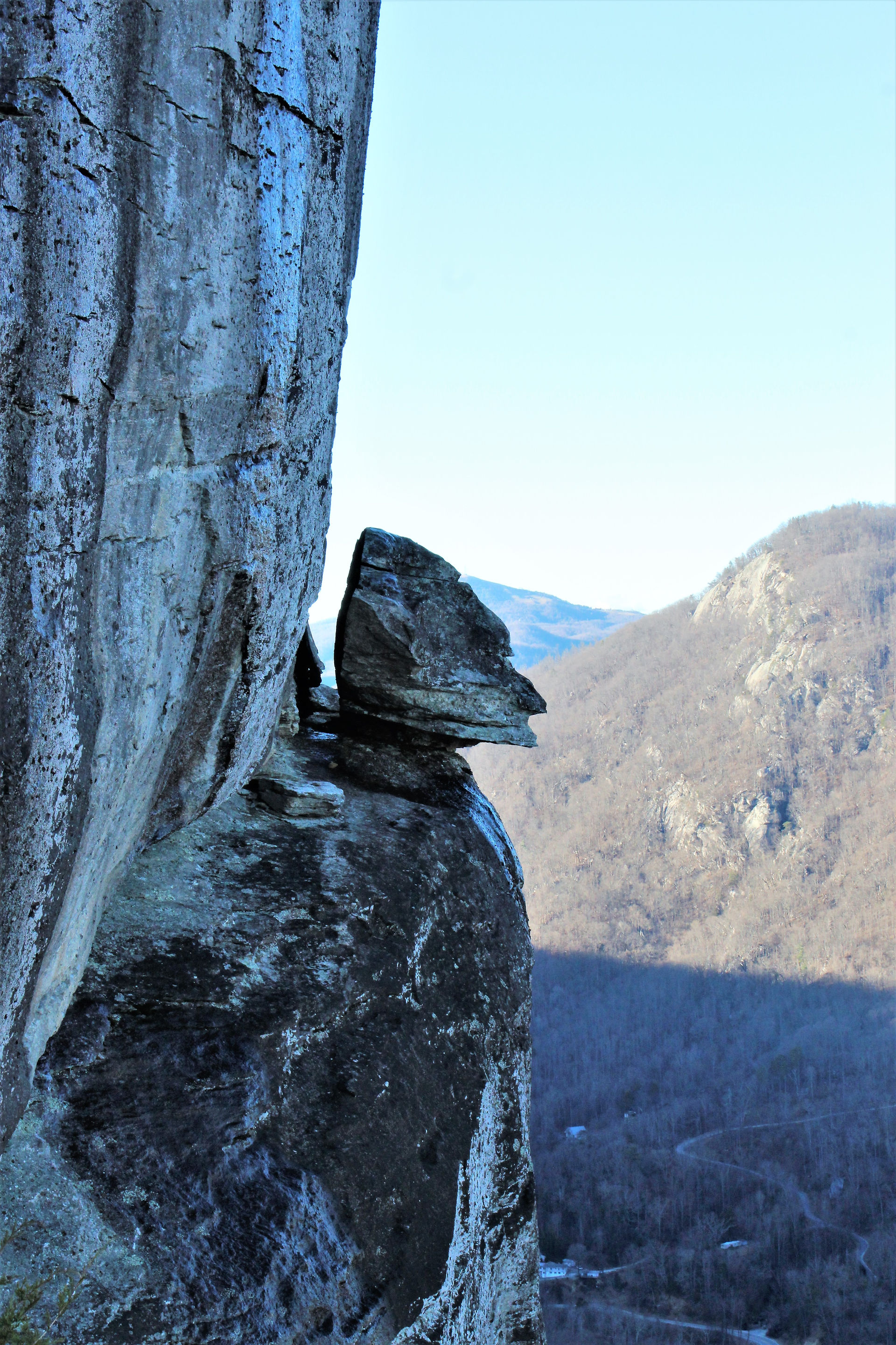 Close-up of Devil's Head