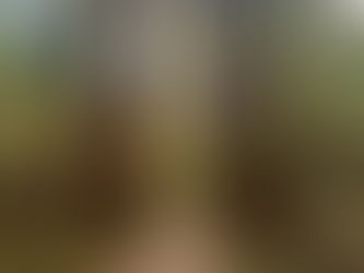 Muir Woods National Monument