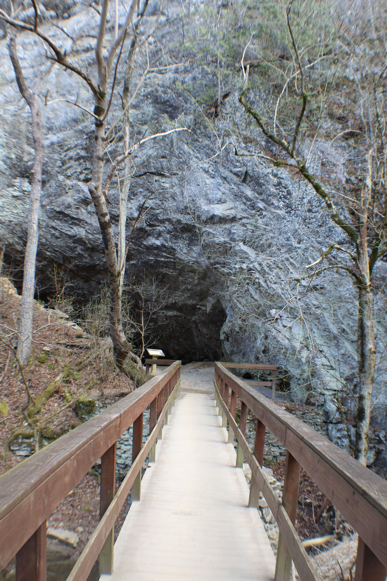 Entrance to Saltpeter Cave