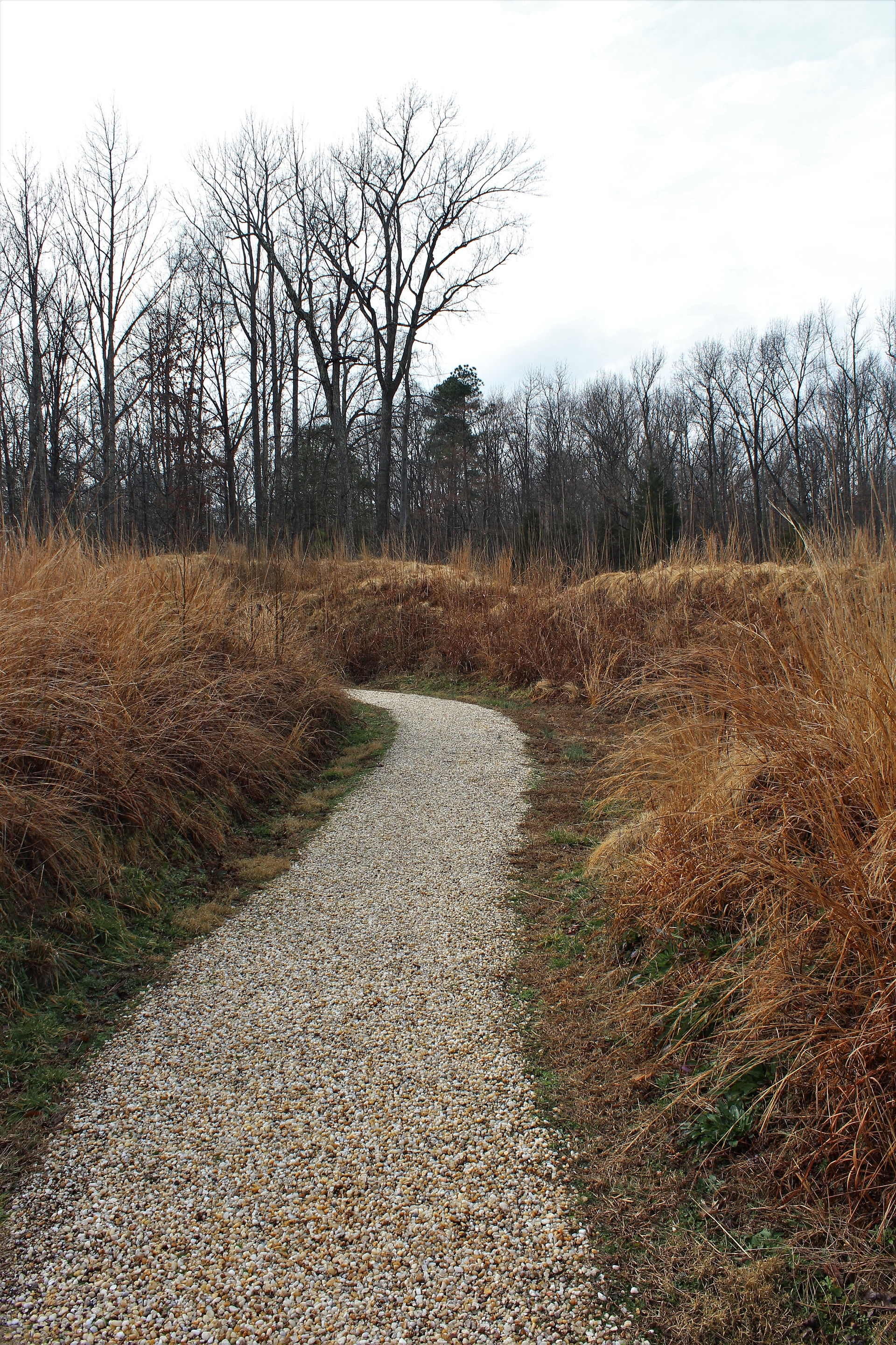 Footpath at Fort Harrison