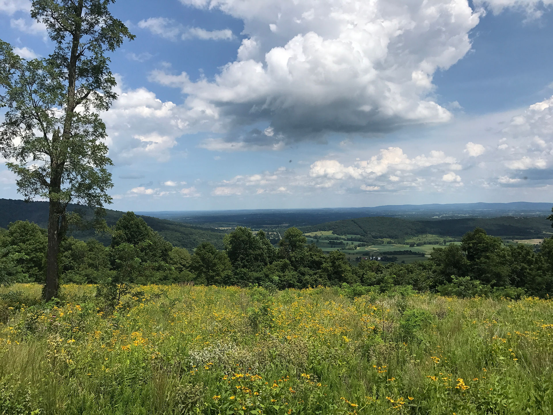 Piedmont Overlook