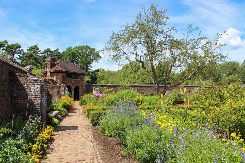 King's Garden