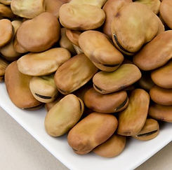 fava.JPG
