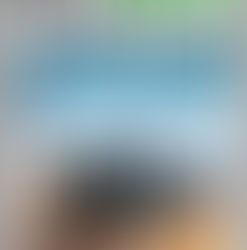 Ferrovissime N° 117