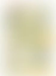 Bourse à Locminé (56)