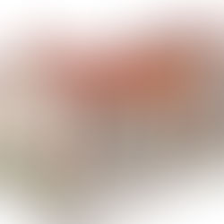 Gare Est Architectures et Passion