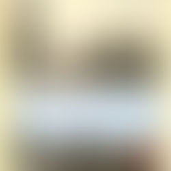 Train de la Baie de Somme