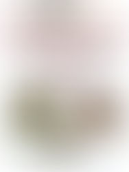 Expo Bourse à Aniche (59)