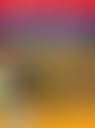 Bourse à Bourgoin Jallieu (38)