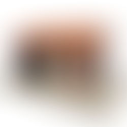 Nouveautés Architectures et Passions