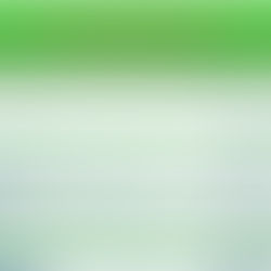 Nouveau forum "Toutes Passions 25"