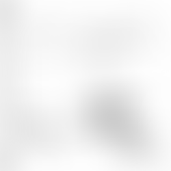 Ferro Modèles fait le pied de grue