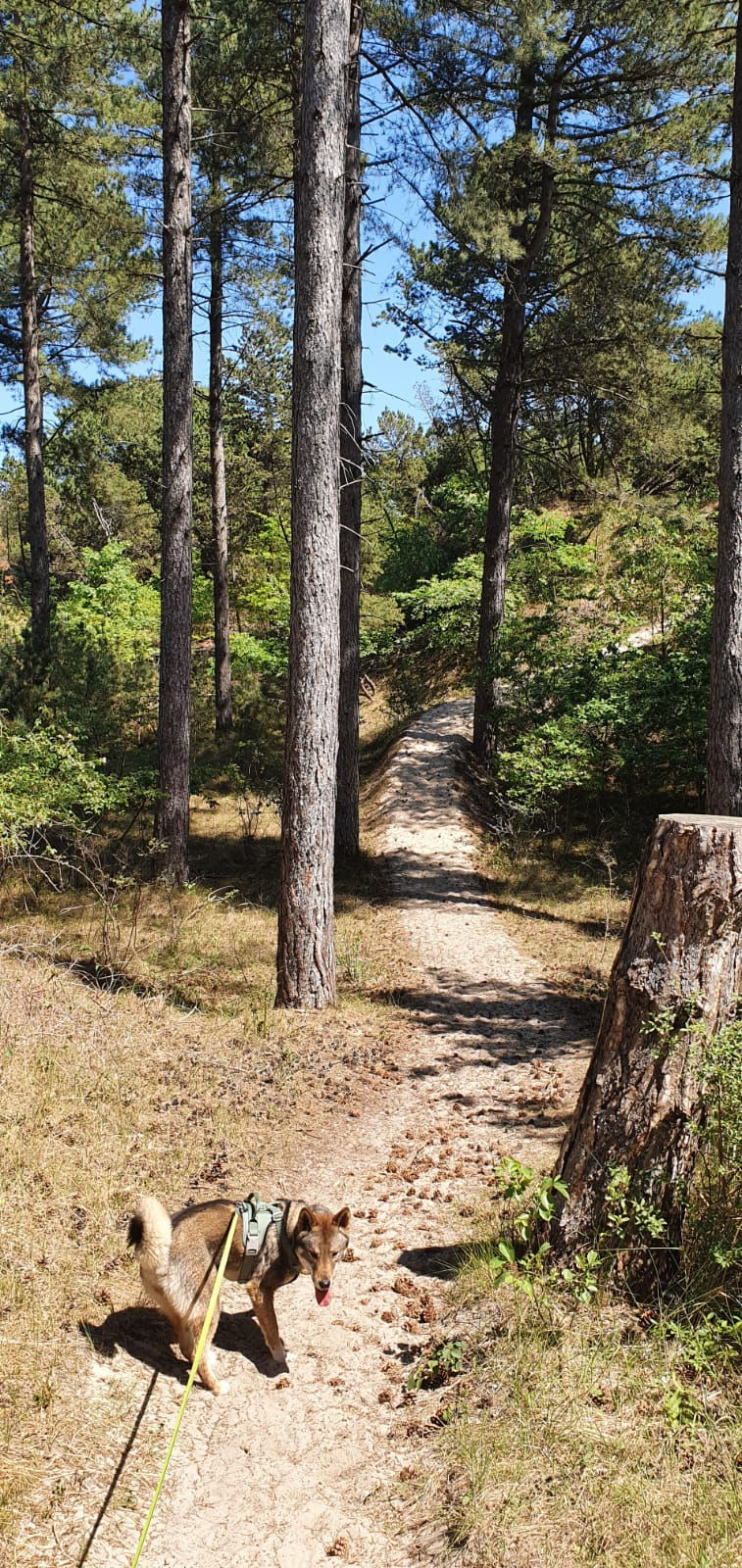 Wandelroute Schouwen-Duivenland (3km, 7km, 8km of 12km)