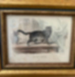 Thumbnail: Pair of Cat lithographs