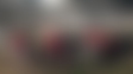 From Seed to Snack at Sweetwater Episcopal Academy