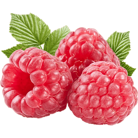 Himbeere, Himbeeren, selber pflücken, selbstpflücke, region Hannover,
