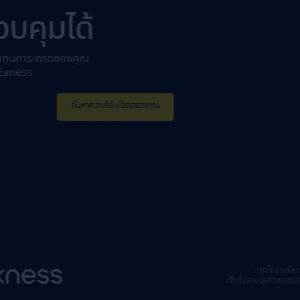 Exness Promotional Link