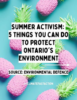 5 Things You Can Do Over the Summer to Protect Ontario’s Environment.jpg