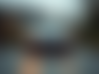 Discover the Range of Insurance Services