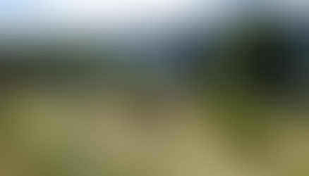 Floresta Negra, um encanto da Alemanha