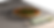 unlocked.295.png