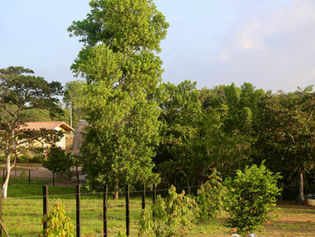 Encuentra el Lugar Perfecto para Tu Casa de Campo en Valle Miraflores