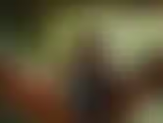 Mujer en hamaca trabjando con su computadora en el campo